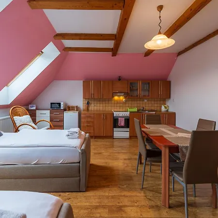 Gasthuis Na Spicaku 3*