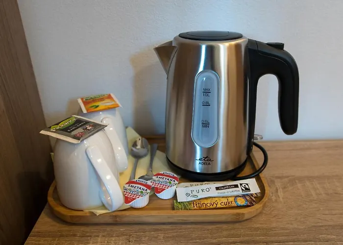 게스트하우스 펜지온 나 스피차쿠 체스키크룸로프